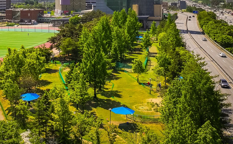 용인아르피아 파크골프장 2026년 공개된 구장 전경
