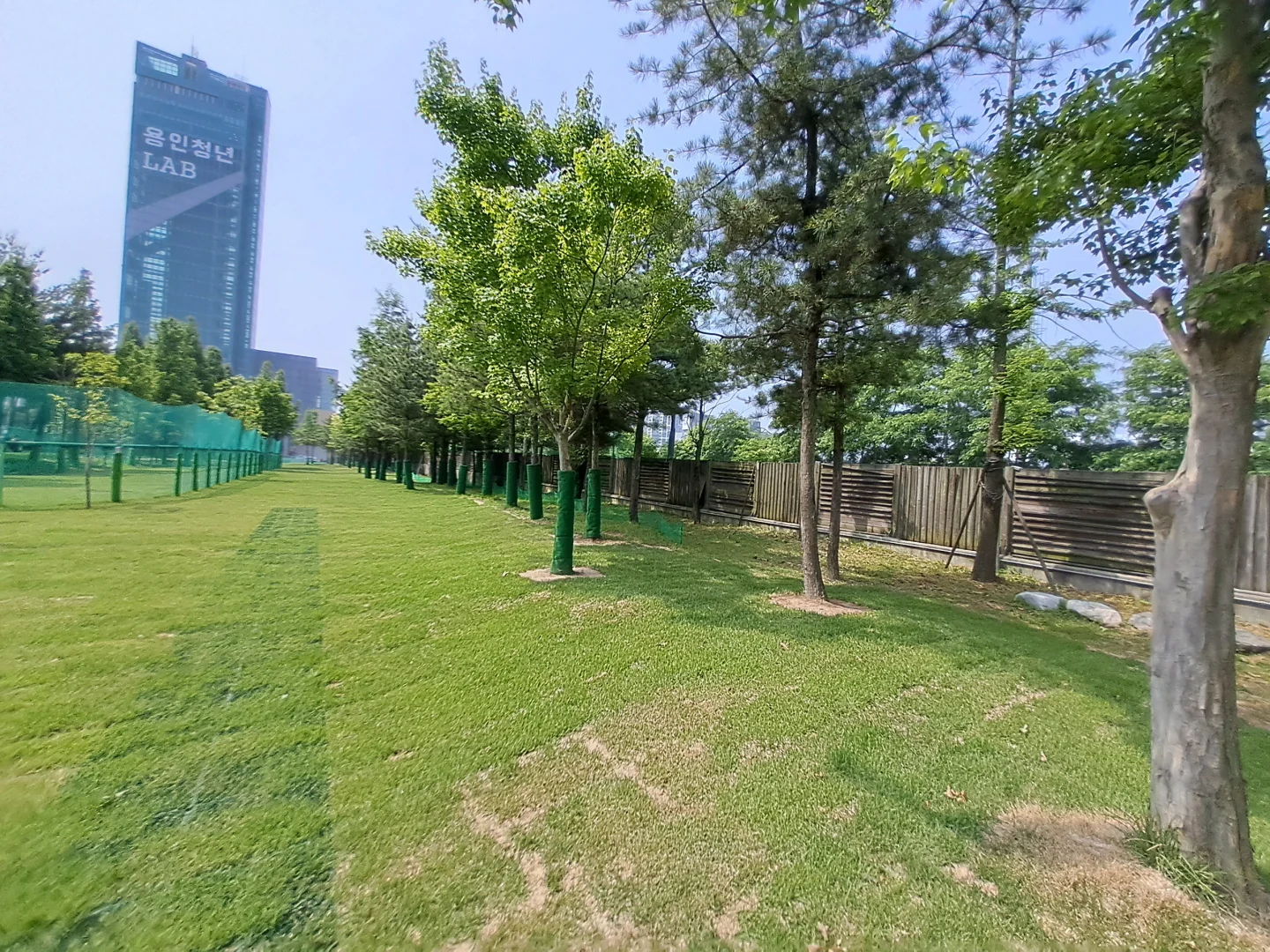 용인아르피아 파크골프장 2024년 시설개선 뒤 나무 옆 코스